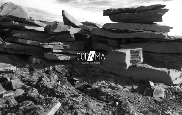 Web de Copama diseñada por Grupo Promedia